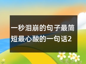 一秒泪崩的句子最简短最心酸的一句话204条