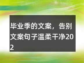 毕业季的文案，告别文案句子温柔干净202条