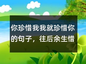 你珍惜我我就珍惜你的句子，往后余生,惜我者,我惜之246条