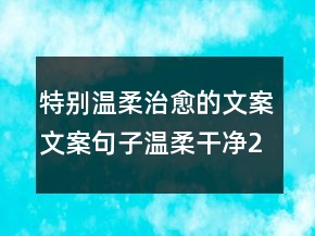 特别温柔治愈的文案文案句子温柔干净223条
