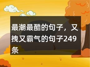 最潮最酷的句子，又拽又霸气的句子249条