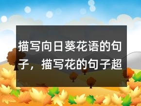 描写向日葵花语的句子，描写花的句子超优美248条