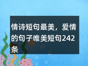 情诗短句最美，爱情的句子唯美短句242条