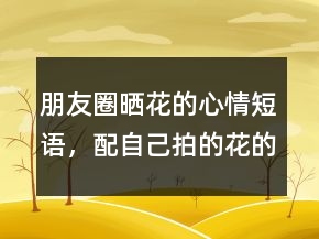 朋友圈晒花的心情短语，配自己拍的花的说说232条
