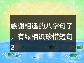 感谢相遇的八字句子，有缘相识珍惜短句211条