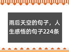 雨后天空的句子，人生感悟的句子224条