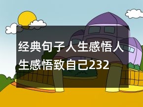 经典句子人生感悟,人生感悟致自己232条