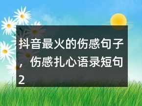 抖音最火的伤感句子，伤感扎心语录短句201条