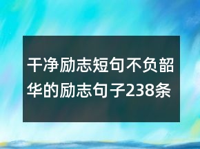 干净励志短句不负韶华的励志句子238条