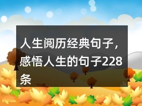 人生阅历经典句子，感悟人生的句子228条