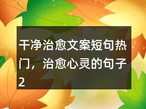干净治愈文案短句热门，治愈心灵的句子205条