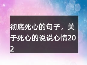 彻底死心的句子，关于死心的说说心情202条