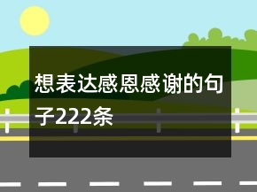 想表达感恩感谢的句子222条