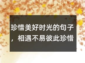 珍惜美好时光的句子，相遇不易,彼此珍惜句子213条