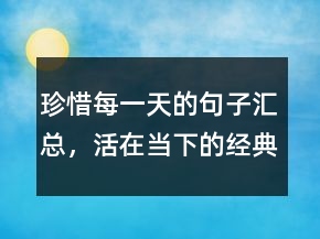 珍惜每一天的句子汇总，活在当下的经典句子239条