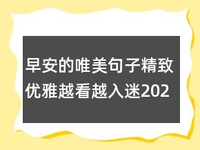 早安的唯美句子精致优雅越看越入迷202条