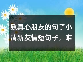 致真心朋友的句子小清新友情短句子，唯美简短的句子208条