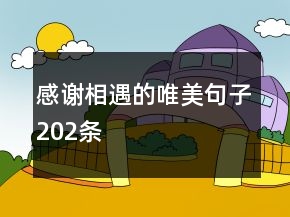 感谢相遇的唯美句子202条