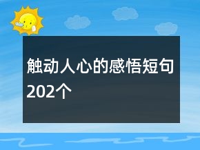 触动人心的感悟短句202个