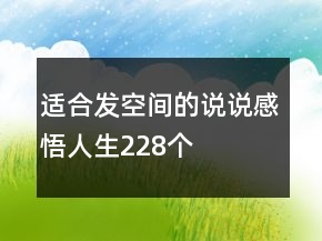 适合发空间的说说感悟人生228个