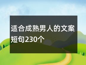 适合成熟男人的文案短句230个