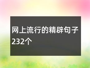 网上流行的精辟句子232个