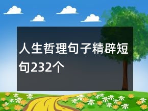 人生哲理句子精辟短句232个