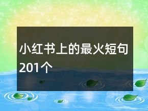 小红书上的最火短句201个
