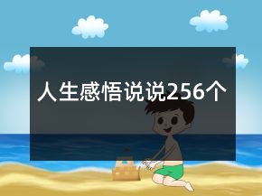 人生感悟说说256个