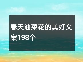 春天油菜花的美好文案198个