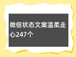 微信状态文案温柔走心247个