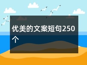 优美的文案短句250个