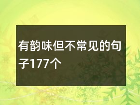 有韵味但不常见的句子177个