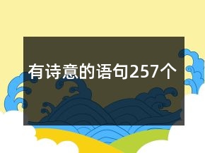有诗意的语句257个