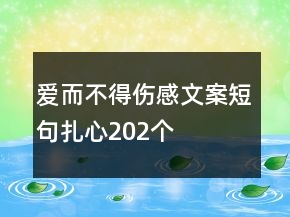 爱而不得伤感文案短句扎心202个
