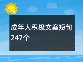 成年人积极文案短句247个