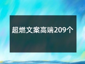 超燃文案高端209个