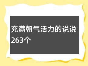 充满朝气活力的说说263个