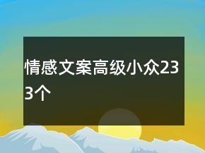 情感文案高级小众233个