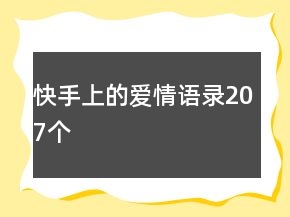 快手上的爱情语录207个