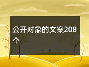 公开对象的文案208个