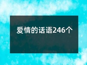 爱情的话语246个