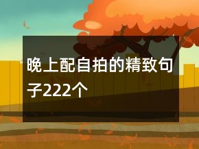 晚上配自拍的精致句子222个