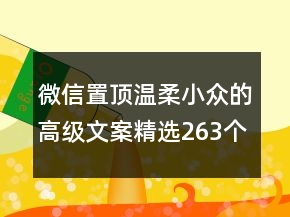 微信置顶温柔小众的高级文案精选263个