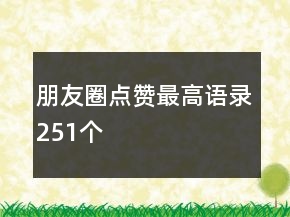 朋友圈点赞最高语录251个