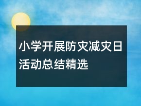 小学开展防灾减灾日活动总结精选