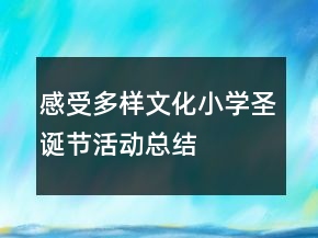 感受多样文化：小学圣诞节活动总结