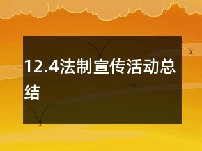 12.4法制宣传活动总结