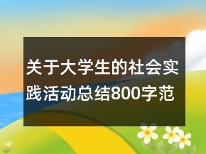 关于大学生的社会实践活动总结800字范文