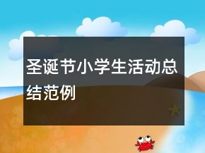 圣诞节小学生活动总结范例